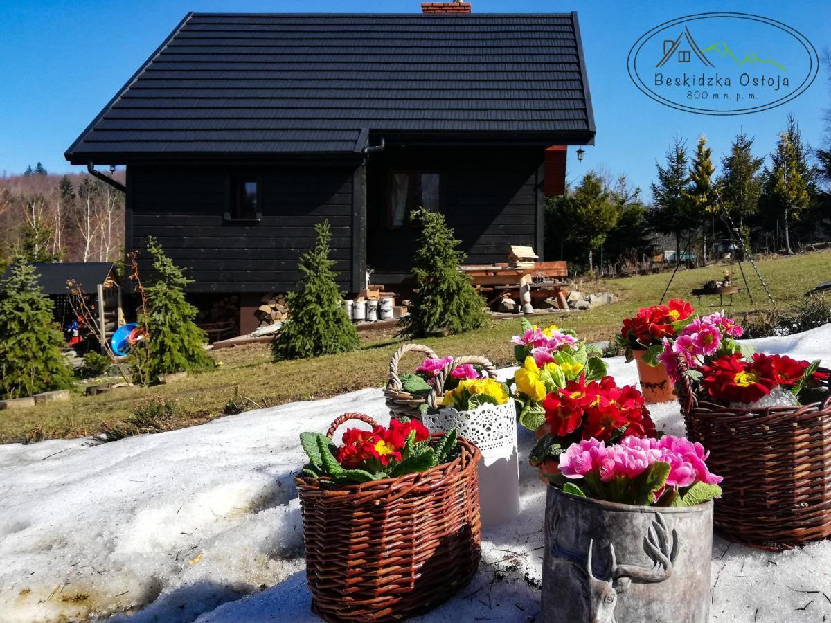 Beskidzka Ostoja Koszarawa Luaran gambar